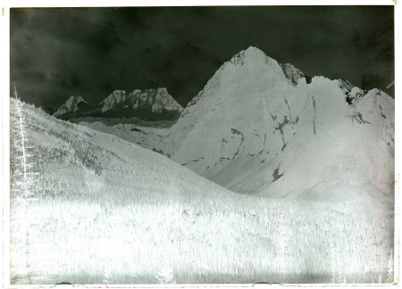 Monochrome negative