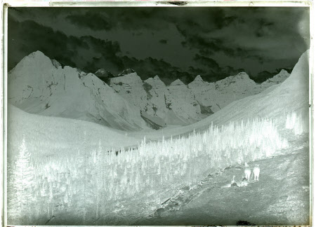 Monochrome negative