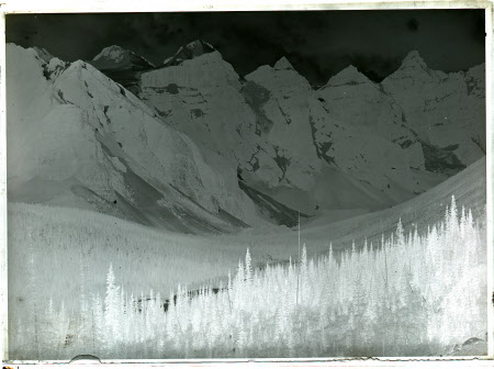 Monochrome negative