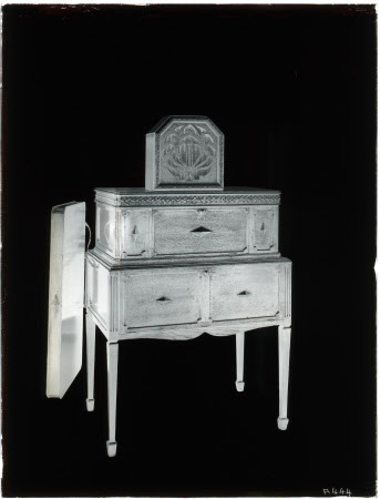 Whole plate monochrome negative