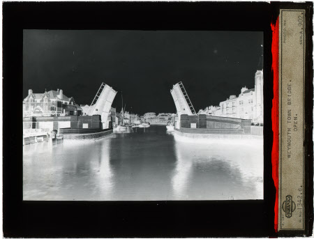 Whole plate monochrome negative