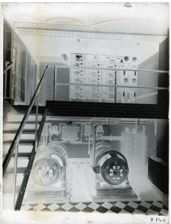 Whole plate monochrome negative