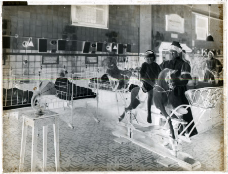 Whole plate monochrome negative