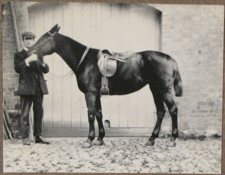 Devizes 1911