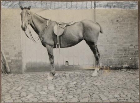 Devizes 1911