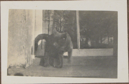 Monkleigh - 1921