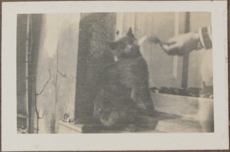 Monkleigh - 1921