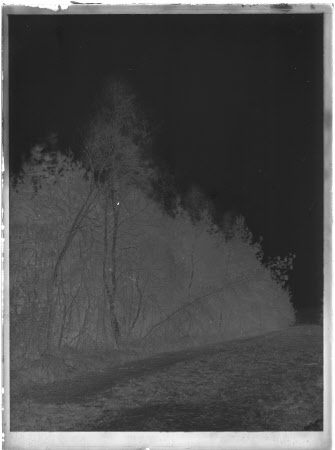 Monochrome negative