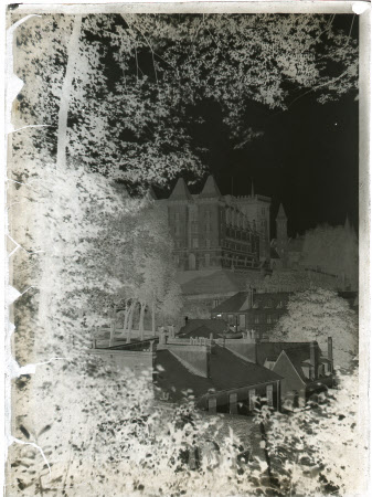 Monochrome negative