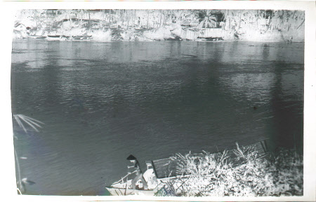 Roll film