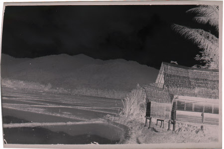 Roll film