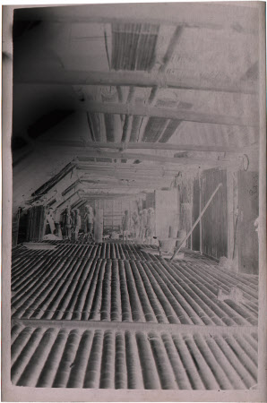 Roll film