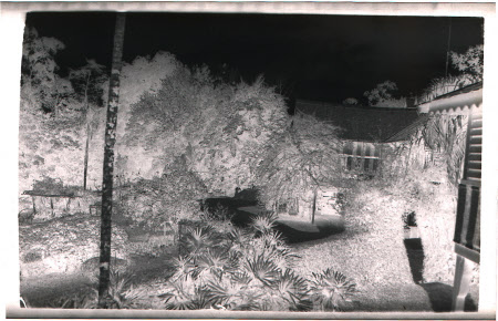 Roll film