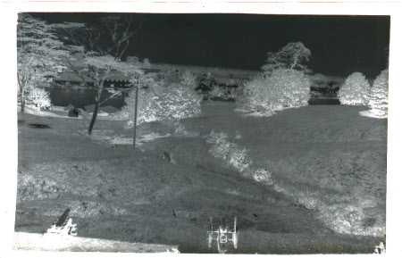 Roll film