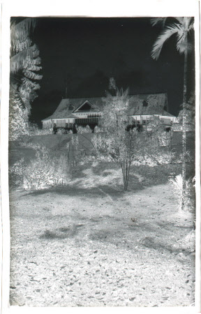 Roll film