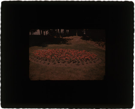 Colour transparency