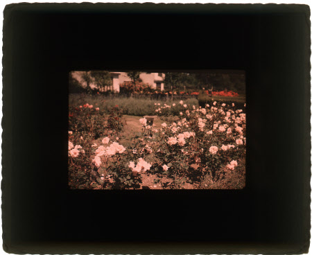 Colour transparency