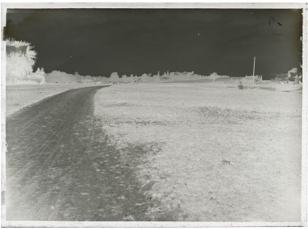 Monochrome negative
