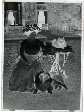 Monochrome negative