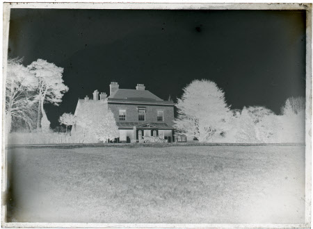 Monochrome negative