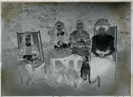 Monochrome negative