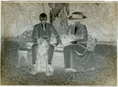 Monochrome negative