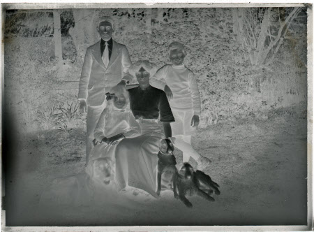 Monochrome negative