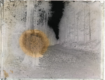 Monochrome negative