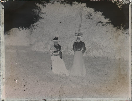 Monochrome negative