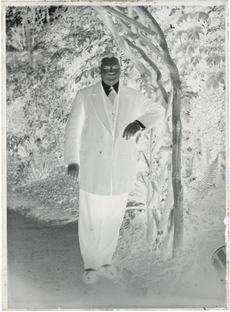 Monochrome negative