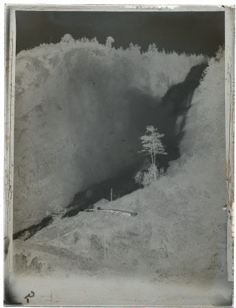Monochrome negative