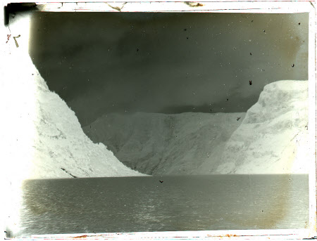 Monochrome negative