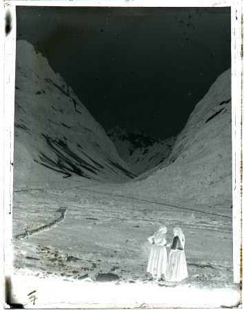 Monochrome negative