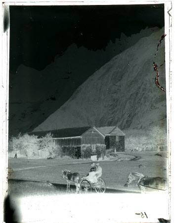 Monochrome negative