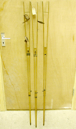 Tripod