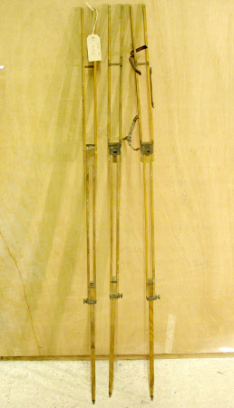 Tripod