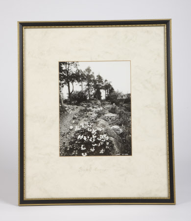 Rocky Corner 1930