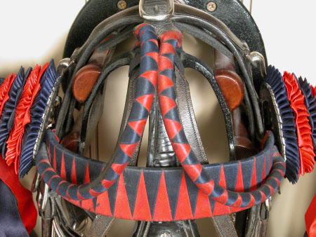 Brow band