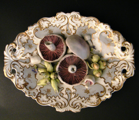 Dish