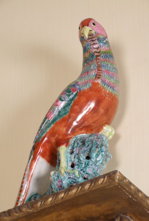 Pheasant