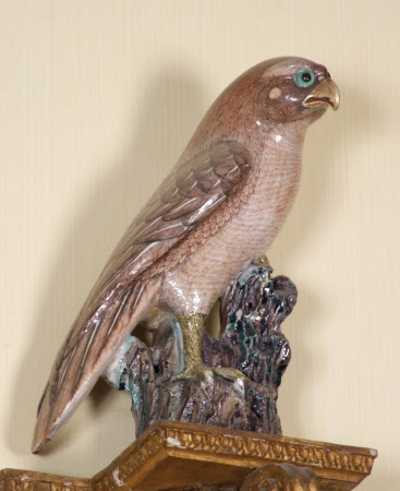 Hawk