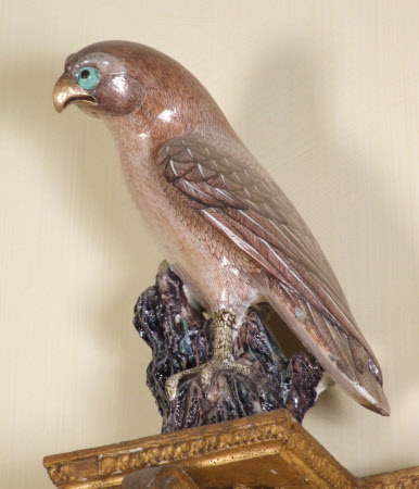 Hawk