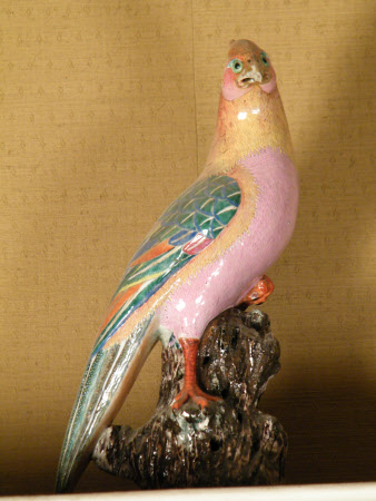 Pheasant