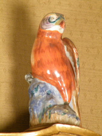 Hawk