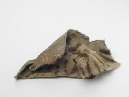 Fur