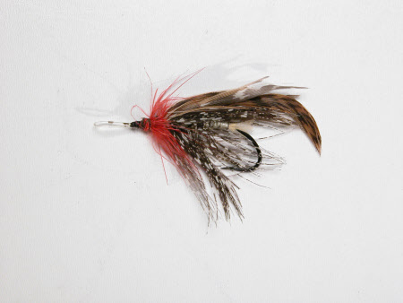 Fishing fly