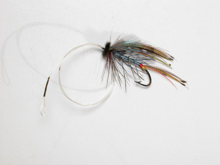 Fishing fly