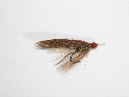 Fishing fly