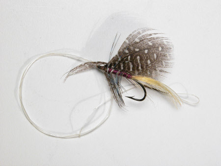 Fishing fly