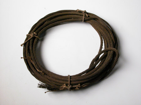 Coil